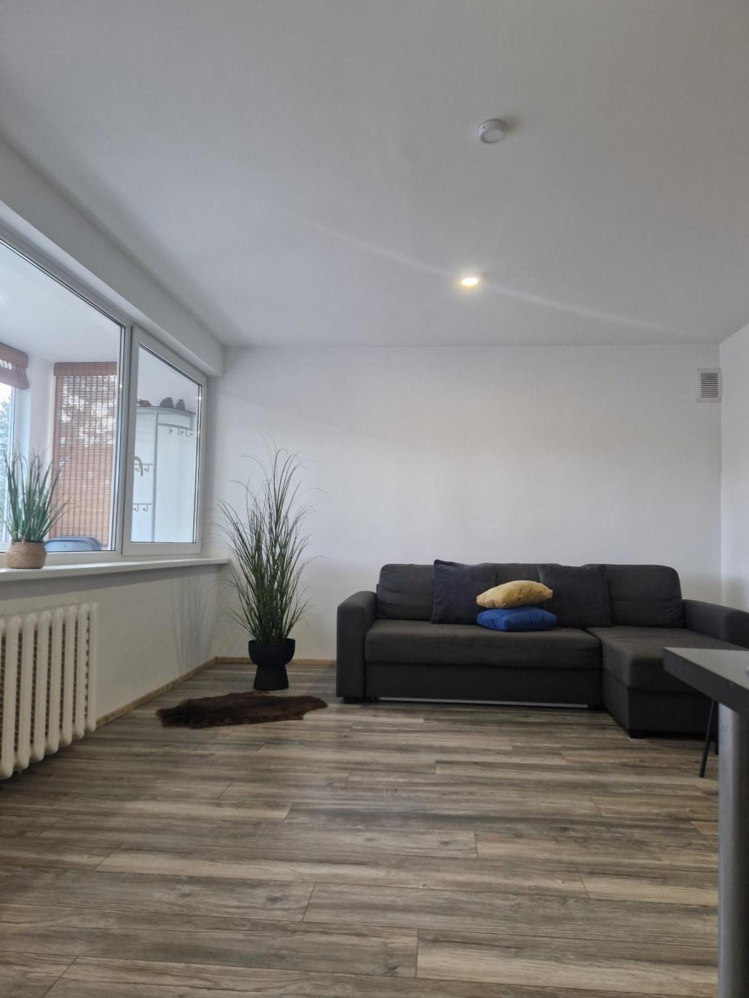 Duplex Apartment Vilte Druskininkai Exterior photo